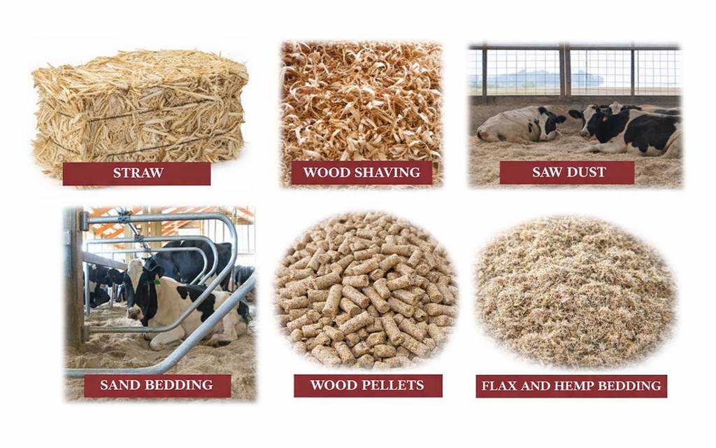 Types of Animal Bedding and Their Benefits.jpg