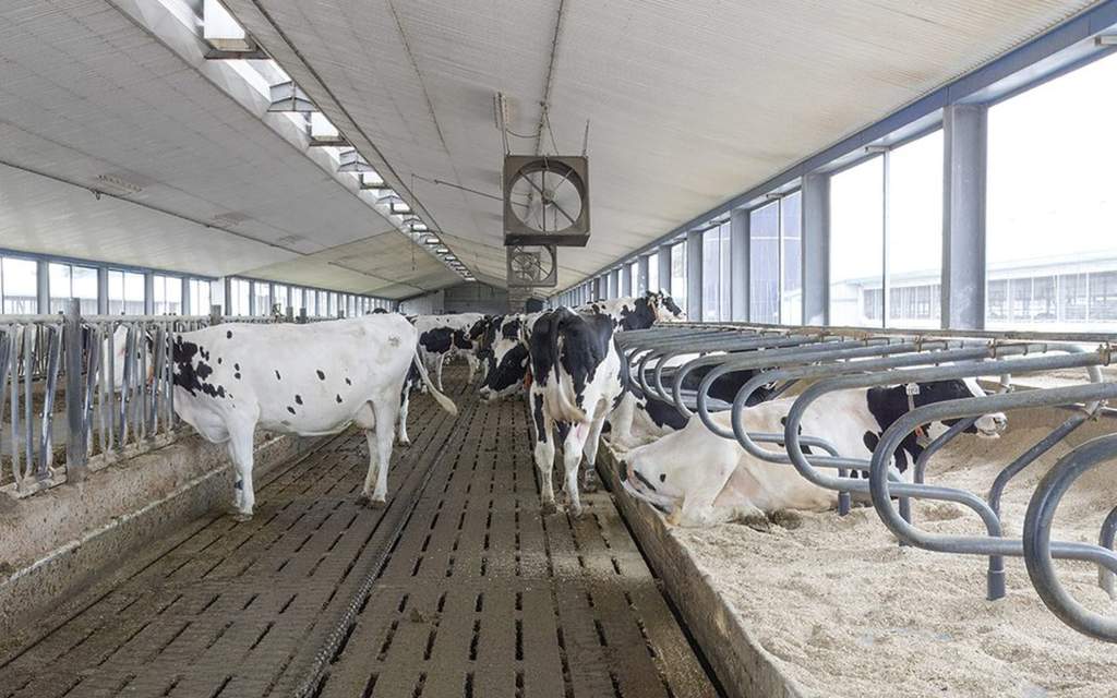 Types of Animal Bedding and Their Benefits-1.jpg